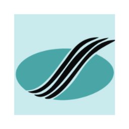 Suzy Industries Limited