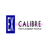 EX Caliber The Placement People