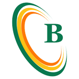 Beerana Consultancy Services logo