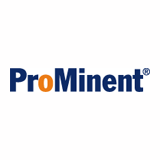 Prominent Network Search