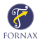 FORNAX TECHNOLOGY SERVICES PRIVATE LIMITED