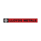 Lloyds metals & Energy Ltd. logo