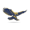 Fly High Developers logo