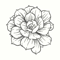 Simply Phoolish logo