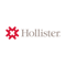 Hollister Global Business Services India logo