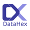 Datahex logo