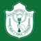 DPS Nacharam logo