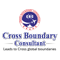 Cross Boundary Consultant logo