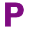 Profisolutions logo