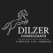 Dilzer consultants pvt Ltd logo