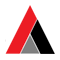 Asapp Info Global Group logo
