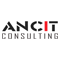 ANCIT Consulting