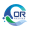 Orson Resins and Coatings Pvt Ltd logo