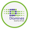 DIAMINES AND CHEMICALS LTD. logo