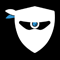 Secninjaz logo