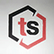 THE Skillions logo