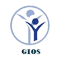 Gios It Services logo