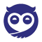 Sleepy Owl logo