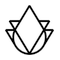 Arjuna Natural Extracts logo