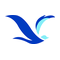 Dollarbird Information Services