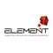 Element Infomatics
