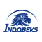 Indospirit
