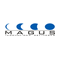 Magus Consulting