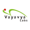 Vayavya Labs