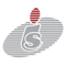 Intellinet Systems logo