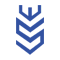 Envision Scientific logo