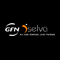 Dselva Infotech logo