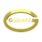 Gulachi Engineers logo