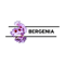 Bergenia Consultancy