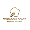 Pentagon Space logo