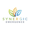 Synergic Emergence logo