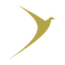 Heights institution Nangloi New Delhi logo