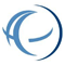 Advent Insight Solutions