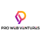 PRO Web Ventures logo