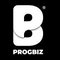 Progbiz logo