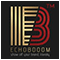 Echobooom Management logo