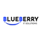 Blueberry IT Solutions Consulting logo
