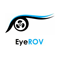 Eyerov logo