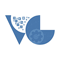 Virtual Gain Technology logo