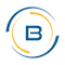 Binate It Services logo