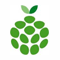 Sithafal Technologies logo