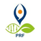 Patanjali Research Foundation