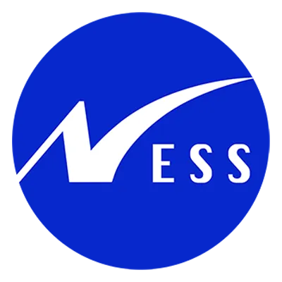Ness Digital Engineering