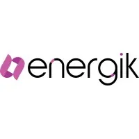 Energik InfoSystem logo