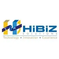 Hibiz Consulting