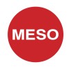 MESO PRIVATE LIMITED logo